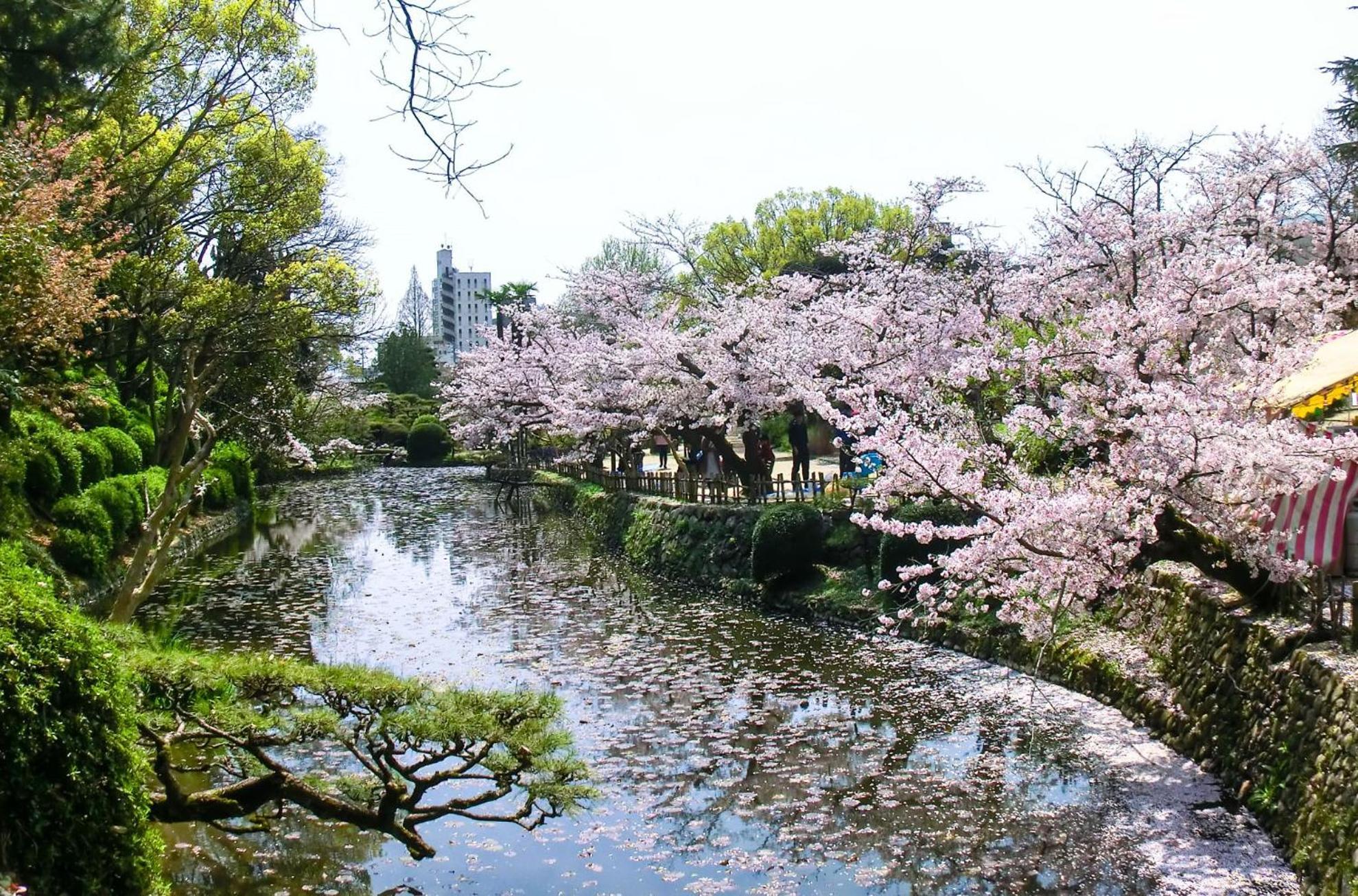 媛楽園 松山中心地及び道後温泉に近い家族やグループ旅行の多人数が泊まれる快適な宿 Exterior foto