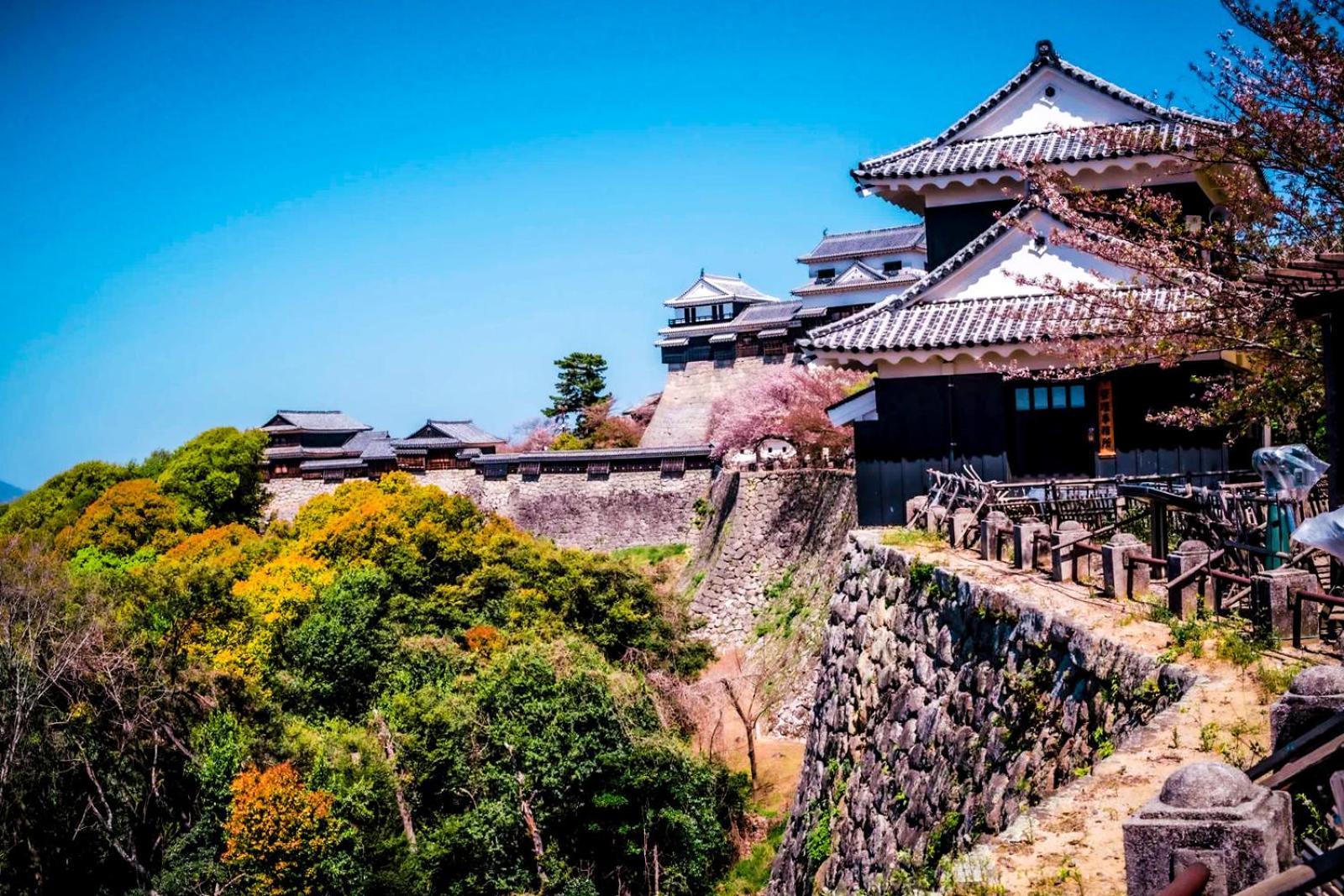 媛楽園 松山中心地及び道後温泉に近い家族やグループ旅行の多人数が泊まれる快適な宿 Exterior foto